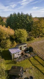 Naturskønt Ophold Med Stjernehimmel Og Heste - 2
