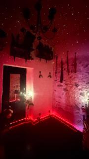 Adults-only house with a fetish-themed room - 3