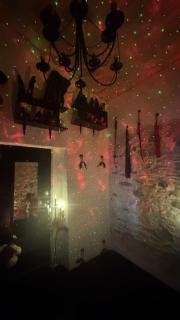 Adults-only house with a fetish-themed room - 2