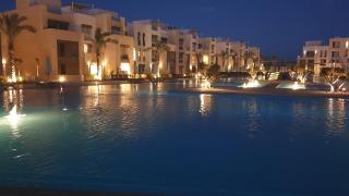 Mangroovy - Delicate 1BR Ground floor by the Pool - 8
