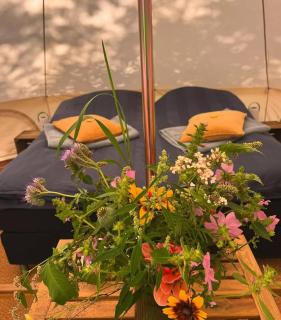 Wellness Glamping For 2 Personer Kløvermarken - 8