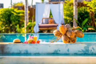 Zanzibar Dream Lodge - Bwejuu - 0