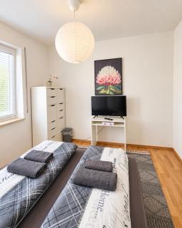 Comfortable Two Room Apartment with Balcony - Dresden - 5