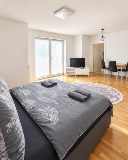 Comfortable Two Room Apartment with Balcony - Dresden - 4