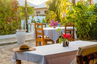 Zanzibar Dream Lodge - Bwejuu - 8