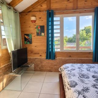 Petit coin de paradis - 4