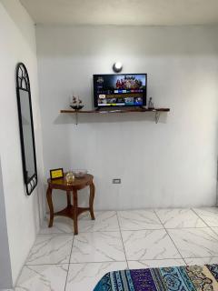 The Golden Apple Cozy 1BR Apartment in Antigua - 9