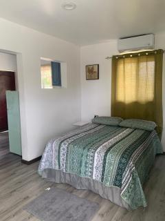 The Golden Apple Cozy 1BR Apartment in Antigua - 6
