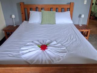 Casa Mono Congo Ometepe - 2