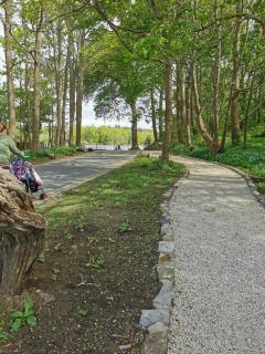 Lovely Seaside One Bedroom Apartment Westport - 2