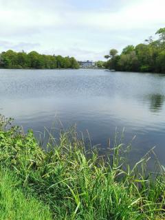 Lovely Seaside One Bedroom Apartment Westport - 1