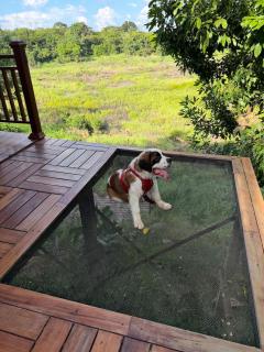 Amazon Magic Lake House, 3 Hab, Vista a Laguna - 4