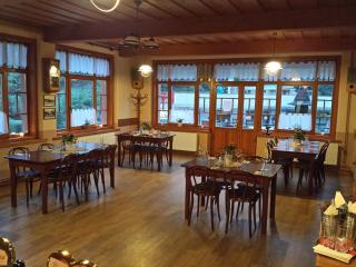 Hotel Pacifik - Hamr na Jezeře - 4