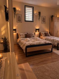 Apartman Milica - 5