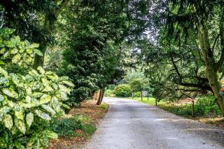 No. 5 - Chestnut Cottage - Pass the Keys - 1