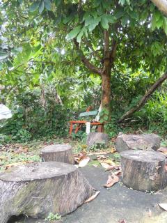 Drapers San Guest House - 4