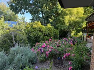 Hahndorf Creek Retreat - 3