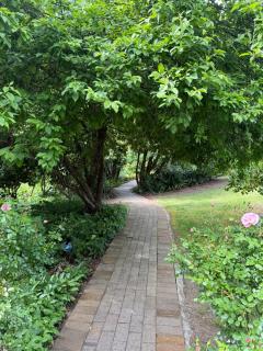 Hahndorf Creek Retreat - 9