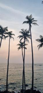 sun sea view - 3