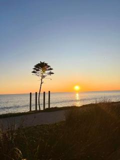 entire esplanade 2br stay - 8