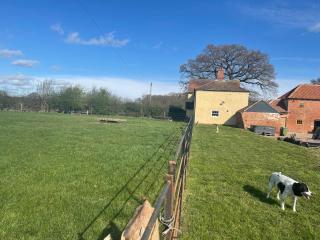 Common Farmhouse - 8