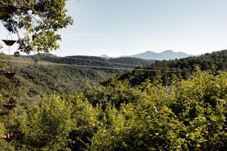 The Nest with Mountain views at Soul Forest - Sedgefield - 3
