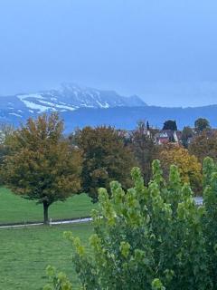 Designer townhouse with mountain views - 6