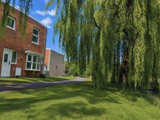 Willow View Private Streamside Home with Lakeside Walks - 5