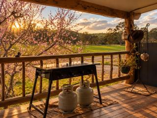 Starlight Lodge - 1