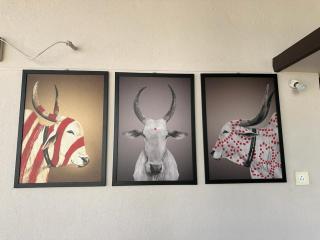 Sumukh's House - 4