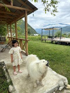 Rachuli blendi - 6