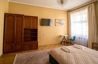 The Lviv City Stay No7 near Park and University - 4