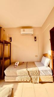Bella house dahab - 5