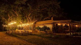 Anavya Chilli Farm by Viraalay - 9