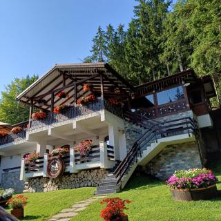 Cabana Schiori - 9
