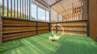 gapyeong beilli pet pool villa pension - 4