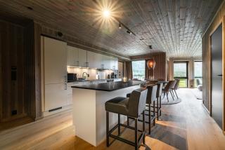 Exclusive Slopeside Living in Hemsedal - 0