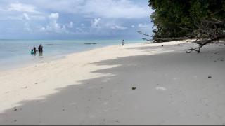 Wonderland Beach Resort - 7