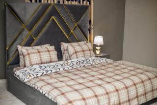 CZECH HOUSE - furnished 2 or 3 bdrm apt in Accra - 7