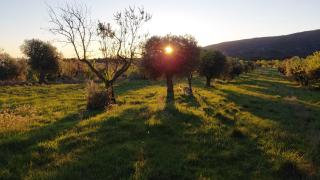Olea Soul House - 3