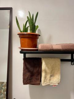Private Tiny Studio in General Luna Town Proper - 5