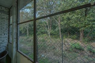 The Amaltas Villa by Jungle Diaries - 9