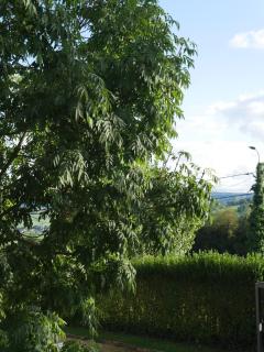 Casa Marlouche - Bed and breakfast - 4