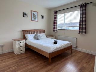Contractor House Near Leixlip Town Centre - 0