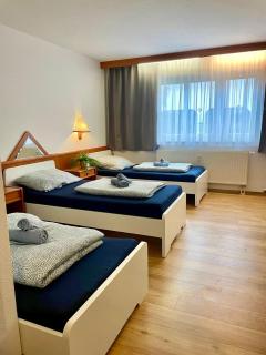Gemütliches Apartment Schwanstetten - 6