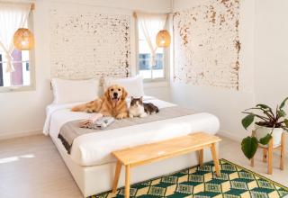 Pet Friendly Luna & Local Oldtown Bangkok - 0