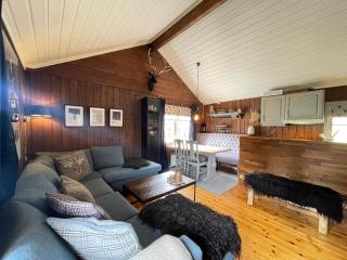 Utibakken - cabin ski inn-out Norefjell - 5