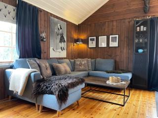 Utibakken - cabin ski inn-out Norefjell - 0