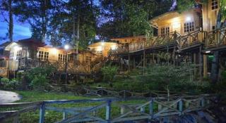 Borneo Tree House - 6
