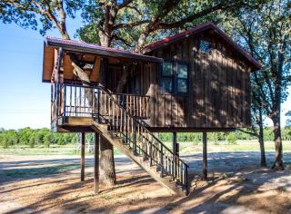 Tree House for Two, Ideal for a Glamping Getaway near Baylor, Texas - 0